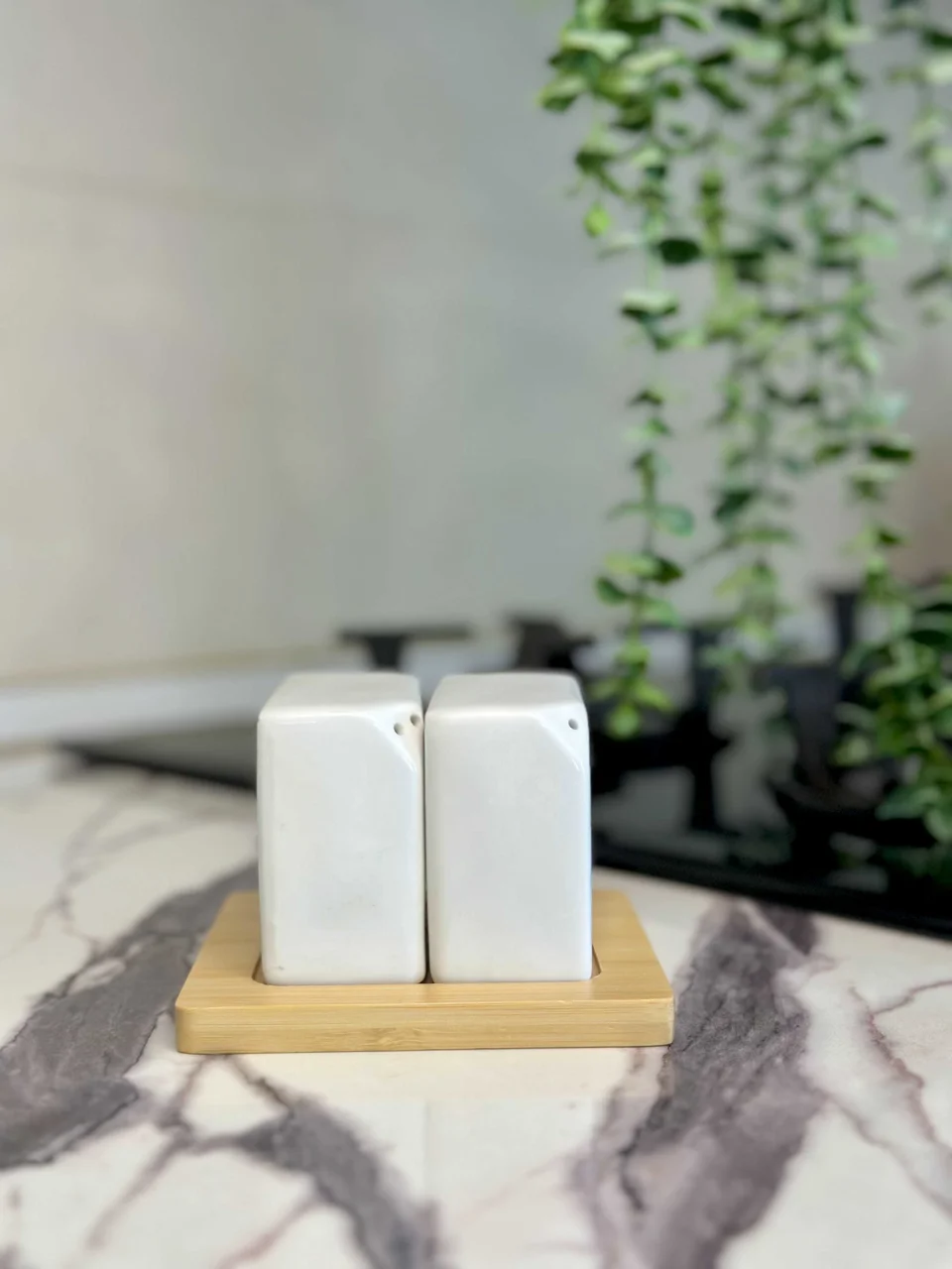 نمکدان جفتی سرامیک بامبو*